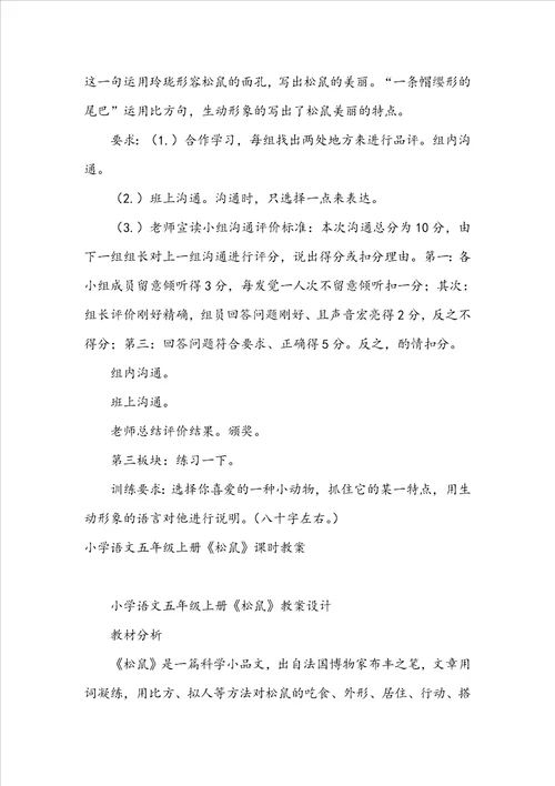 五年级语文下册松鼠教案