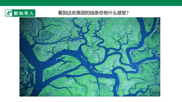 第二课《画中的线条》课件