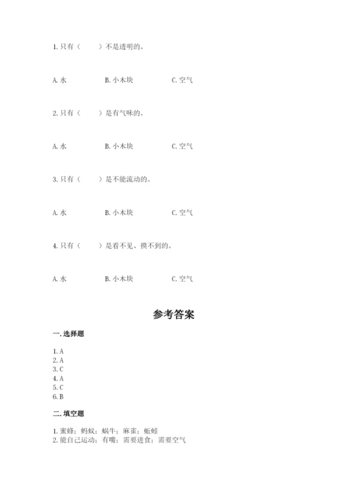 教科版一年级下册科学期末测试卷及答案一套.docx