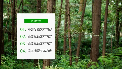 绿色环保森林生态文明建设森林日环保PPT模板