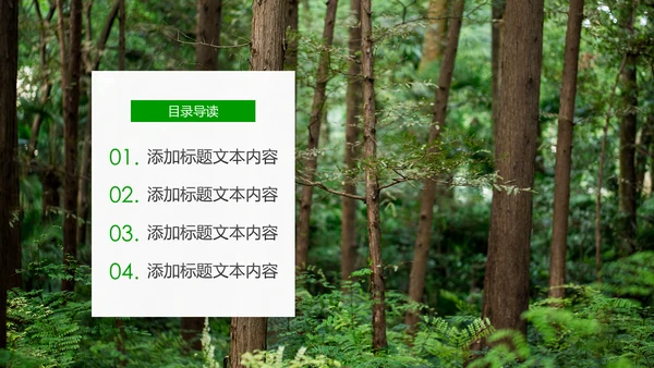 绿色环保森林生态文明建设森林日环保PPT模板