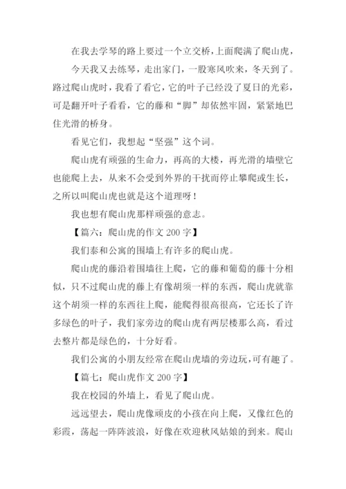 爬山虎的作文200字.docx