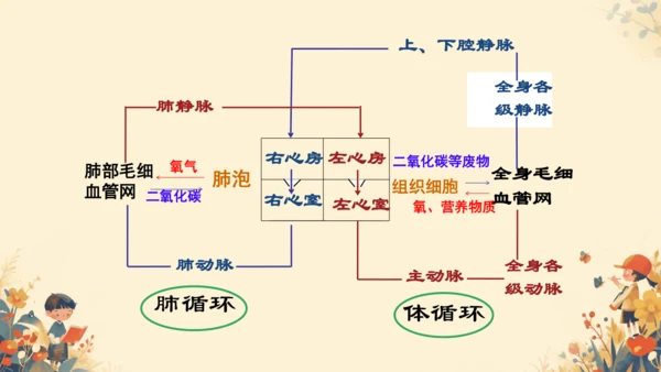 初中生物学[期末专区]七年级下册第四章和第五章复习课件(共39张PPT)