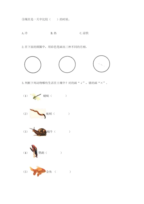 教科版科学二年级上册《期末测试卷》精品【必刷】.docx