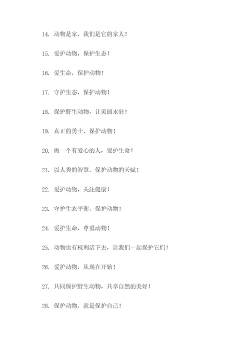 动物朋友宣传标语大全