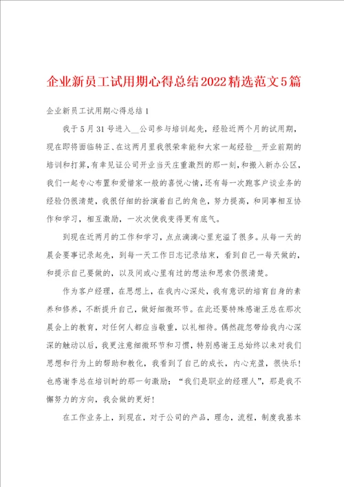 企业新员工试用期心得总结2022精选范文5篇