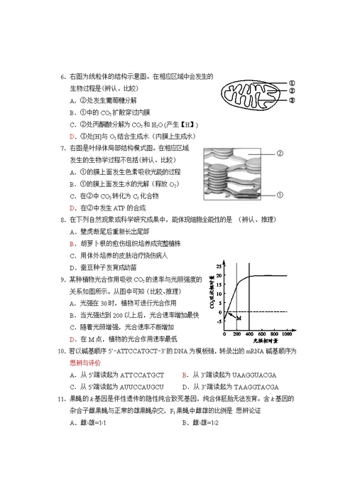 2020年普通高中学业水平考试等级性考试生物测试(共11页)