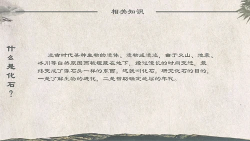 人教版《化石吟》中学语文课教学通用PPT课件模板