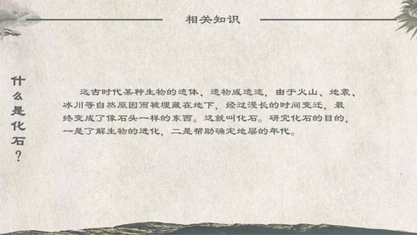 人教版《化石吟》中学语文课教学通用PPT课件模板