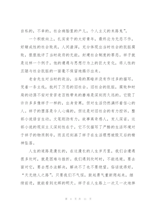 骆驼祥子小说每章读书心得24章5篇.docx