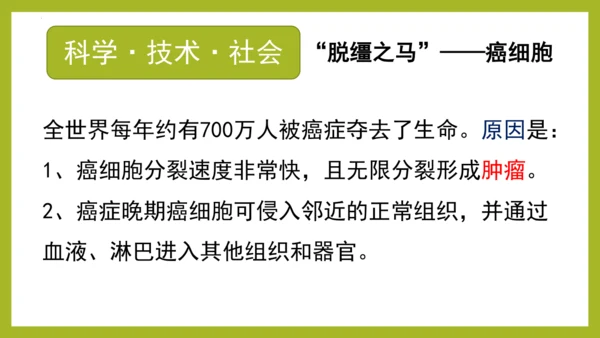 2.2.1细胞通过分裂产生新细胞课件2023--2024学年人教版生物七年级上册(共28张PPT)