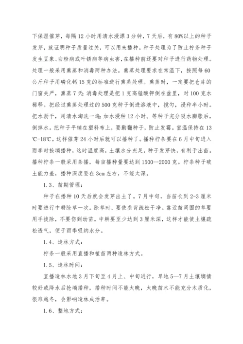 园林绿化施工组织.docx