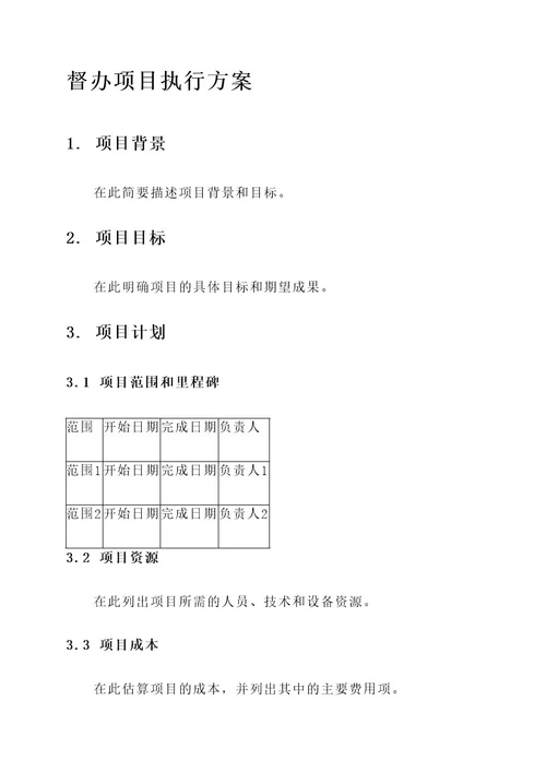 督办项目执行方案