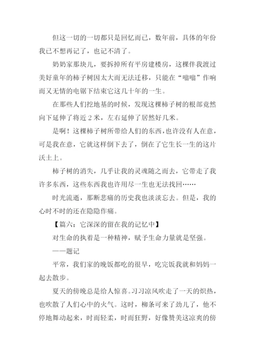 什么留在我的记忆中作文.docx