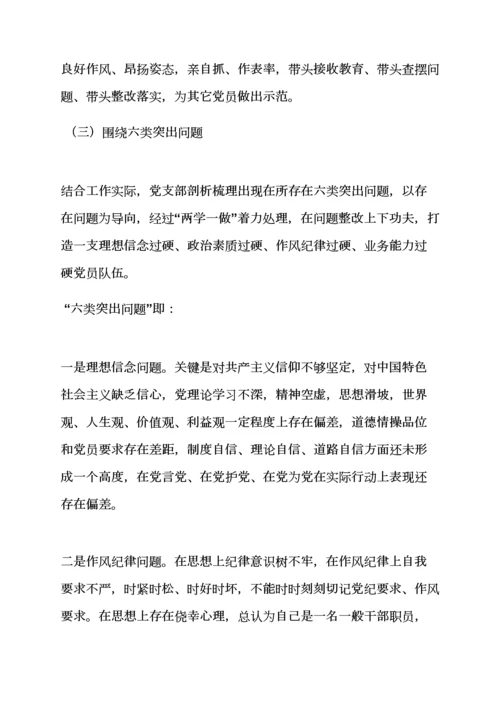 村党支部两学一做实施专项方案.docx