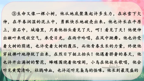 16《散文二篇》课件