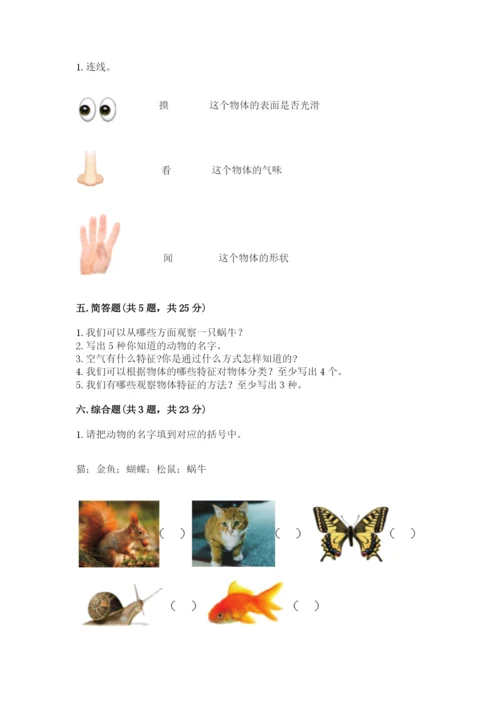 教科版一年级下册科学期末测试卷精品【含答案】.docx