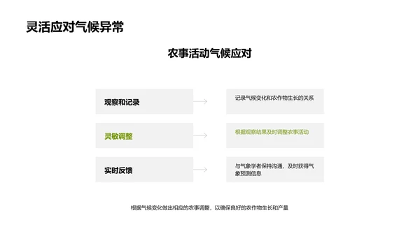 小满节气与农业实践PPT模板