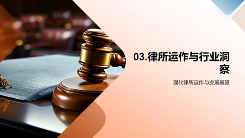 法律精英之路