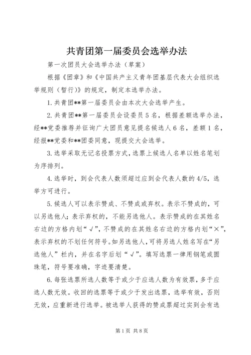 共青团第一届委员会选举办法.docx