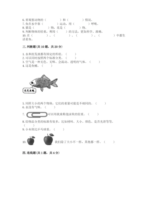 教科版一年级下册科学期末测试卷含答案【夺分金卷】.docx