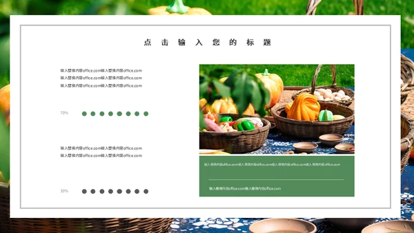 果蔬农产品工作总结农户农业通用PPT模板