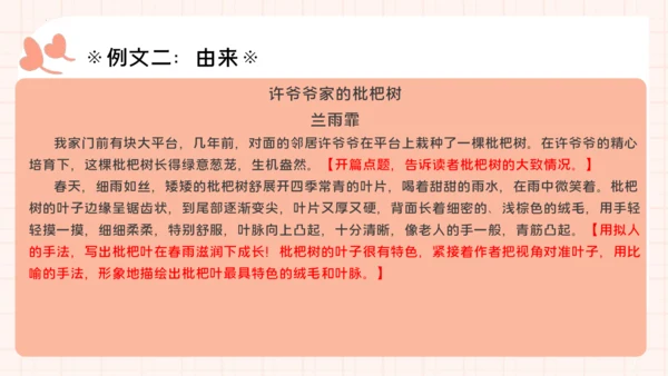 统编版语文三年级下册统编版习作：我的植物朋友 （课件）