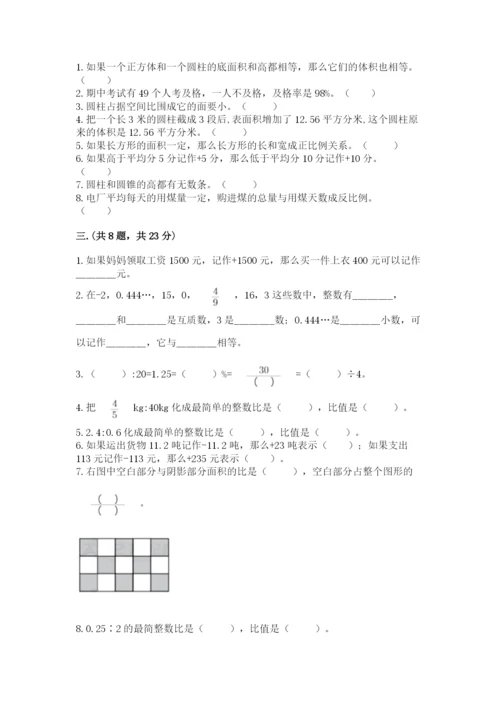 小学六年级数学毕业试题（考点精练）.docx