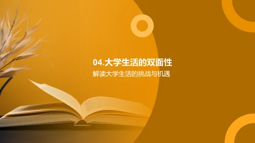 大学生涯：挑战与机遇