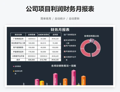 公司项目利润财务月报表