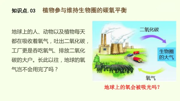 3.2.4植物在自然界中的作用-七年级生物下学期同步精品课件（2024人教版）(共27张PPT)