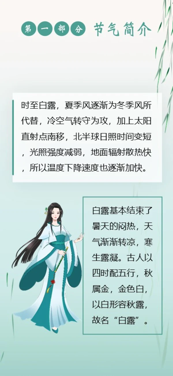 白露节气二十四节气知识手机竖版PPT课件