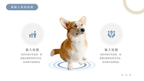 蓝金欧美风物健康护理培训模板PPT模板