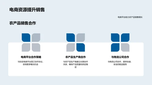 双十一农产品电商策略PPT模板