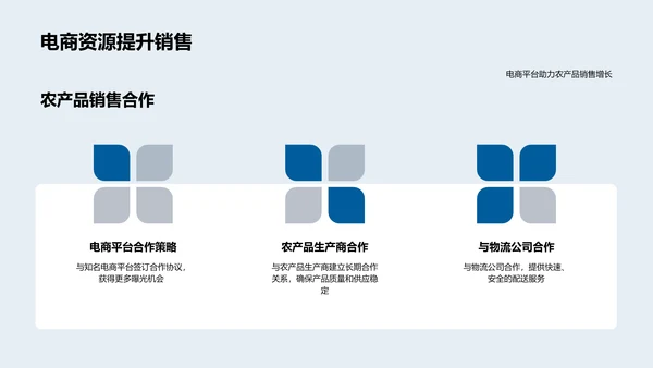 双十一农产品电商策略PPT模板