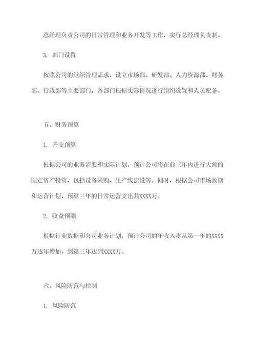 合资公司项目计划书