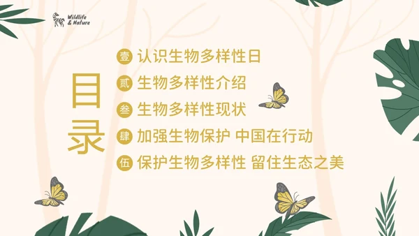 国际生物多样性日生物多样性知识宣讲PPT课件