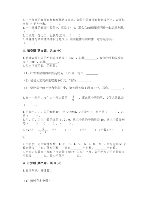 天津市北辰区六年级下册数学期末测试卷及完整答案一套.docx