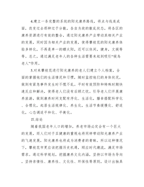 攀枝花阳光康养论文 康养产业发展现状及对策.docx