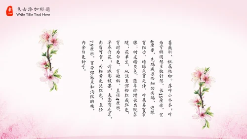 三生三世十里桃花中国风通用PPT模板