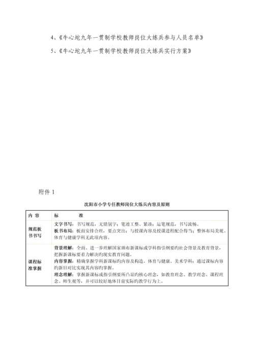 教师岗位大练兵实施专题方案.docx