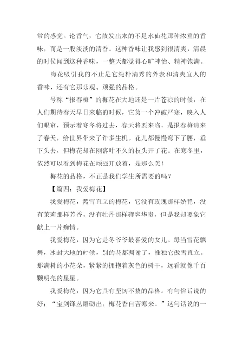 我爱梅花作文300字.docx
