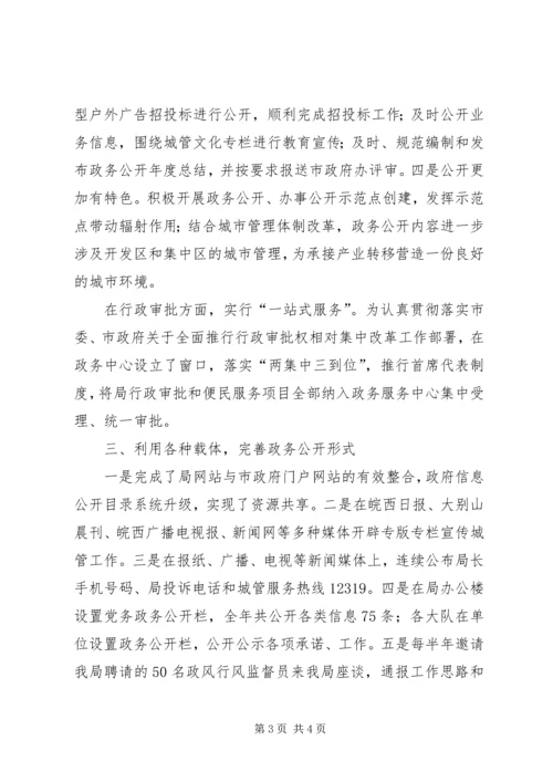 城管局政务公开自评报告.docx