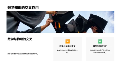 数学：理解与应用