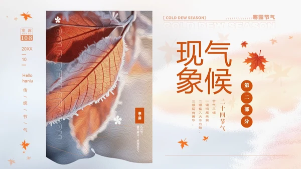 白色淡雅实拍风中国传统节气寒露节气介绍PPT