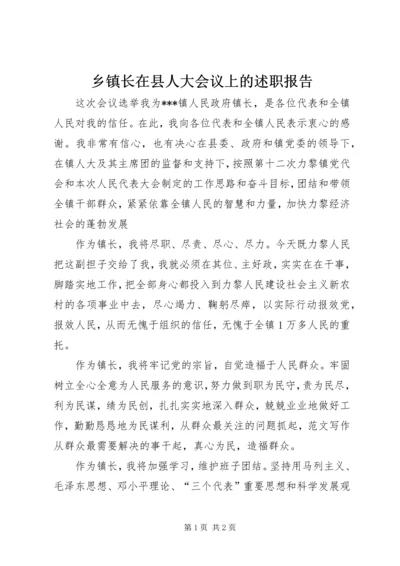 乡镇长在县人大会议上的述职报告.docx