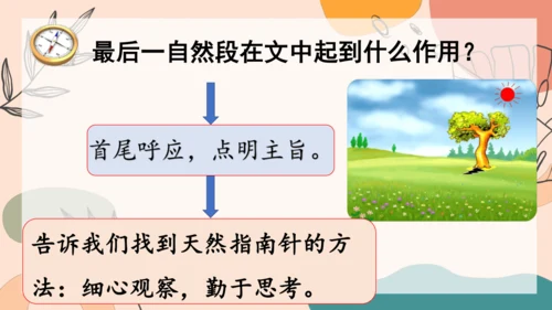 17 《要是你在野外迷了路》（第二课时） 课件