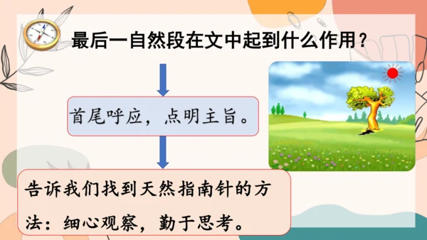 17 《要是你在野外迷了路》（第二课时） 课件
