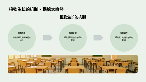 植物生长的秘密