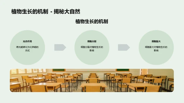植物生长的秘密
